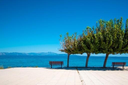 Lavish & Spacious Apt With Stunning Seaview, 10 Min Ath Airport Artemi Extérieur photo